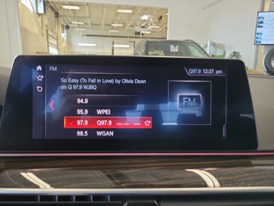 2019 BMW 5 Series 530i xDrive