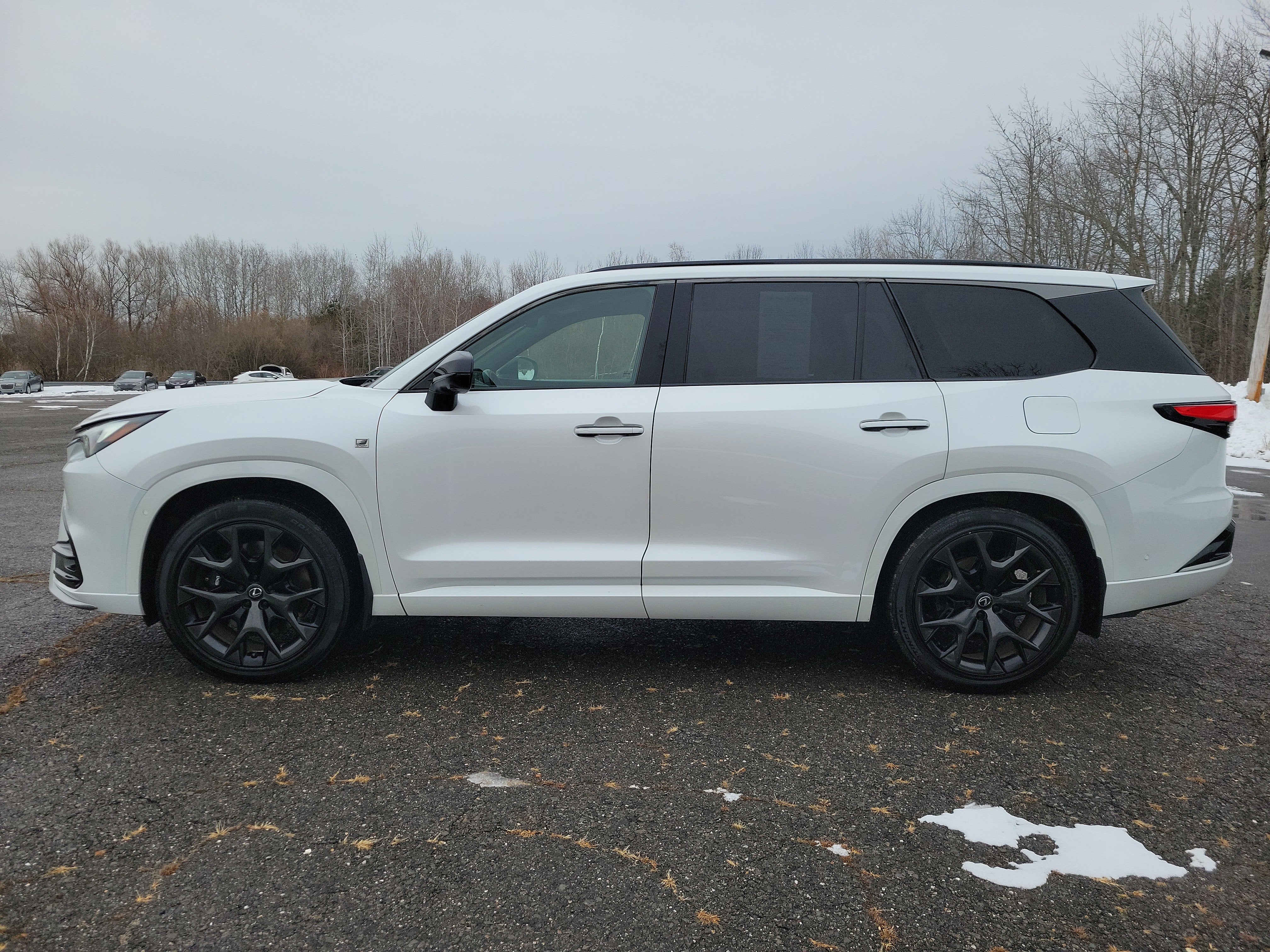 2024 Lexus TX TX 500h F SPORT Premium