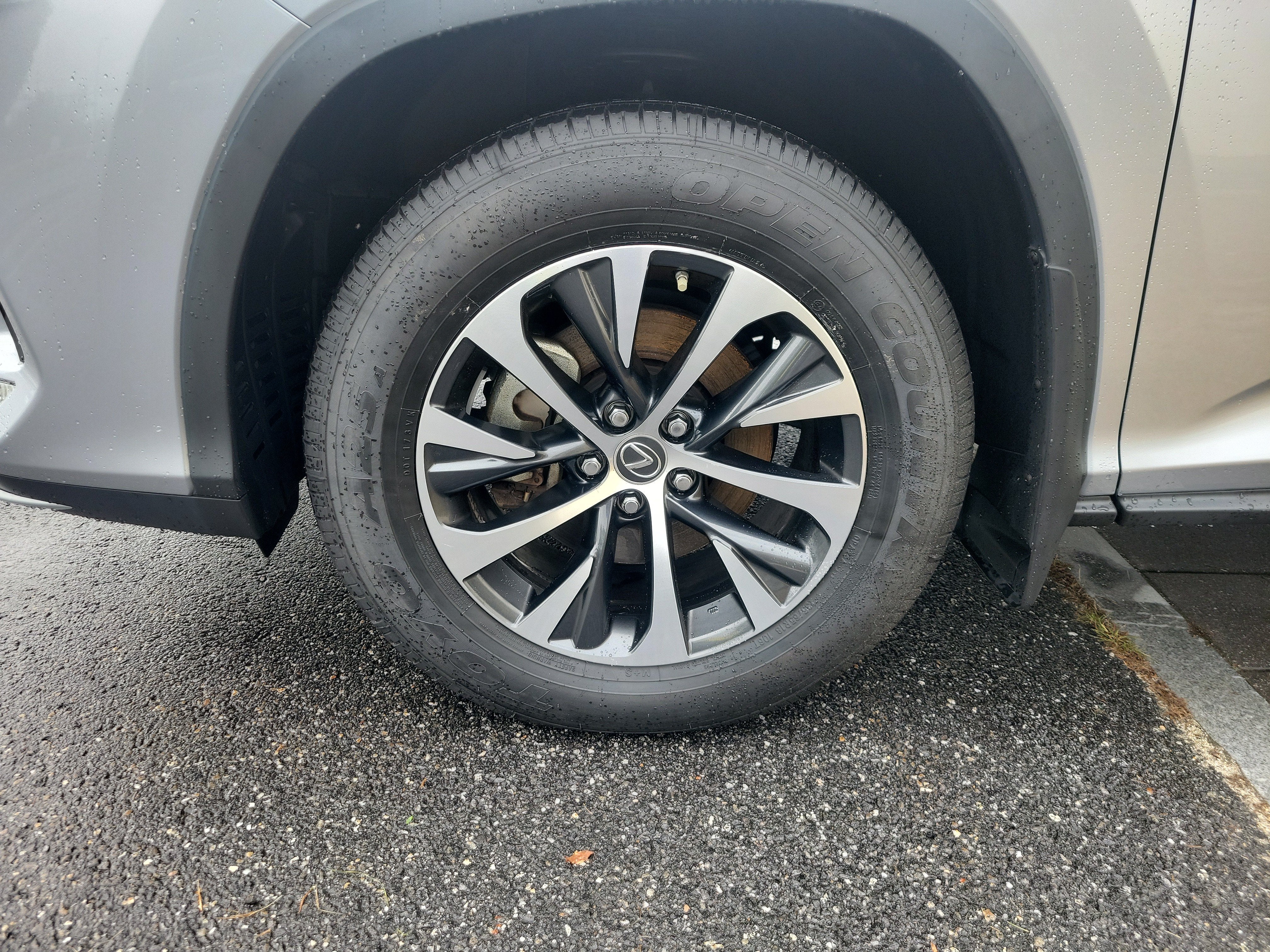 2022 Lexus RX RX 350L