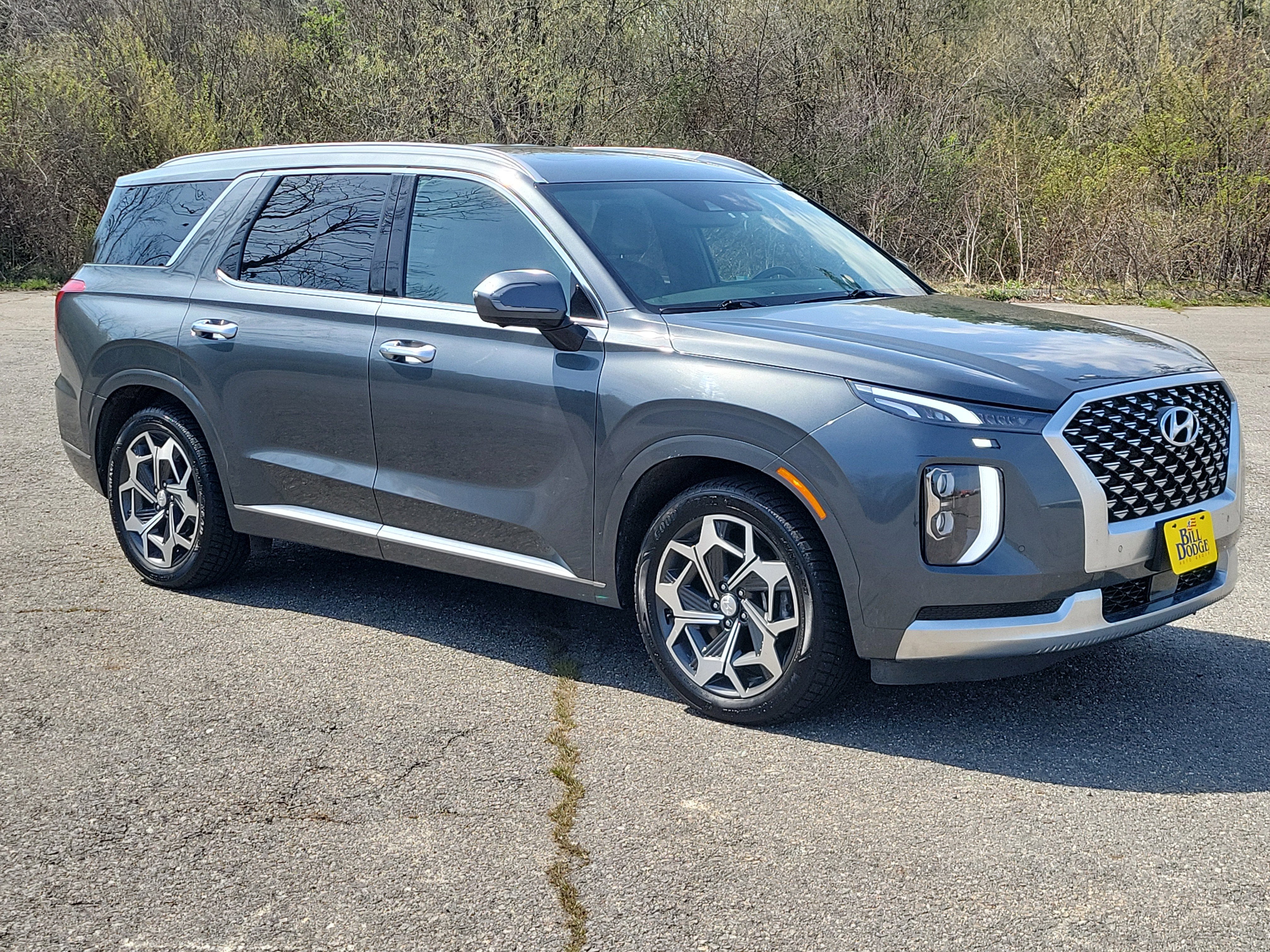 2021 Hyundai Palisade Calligraphy