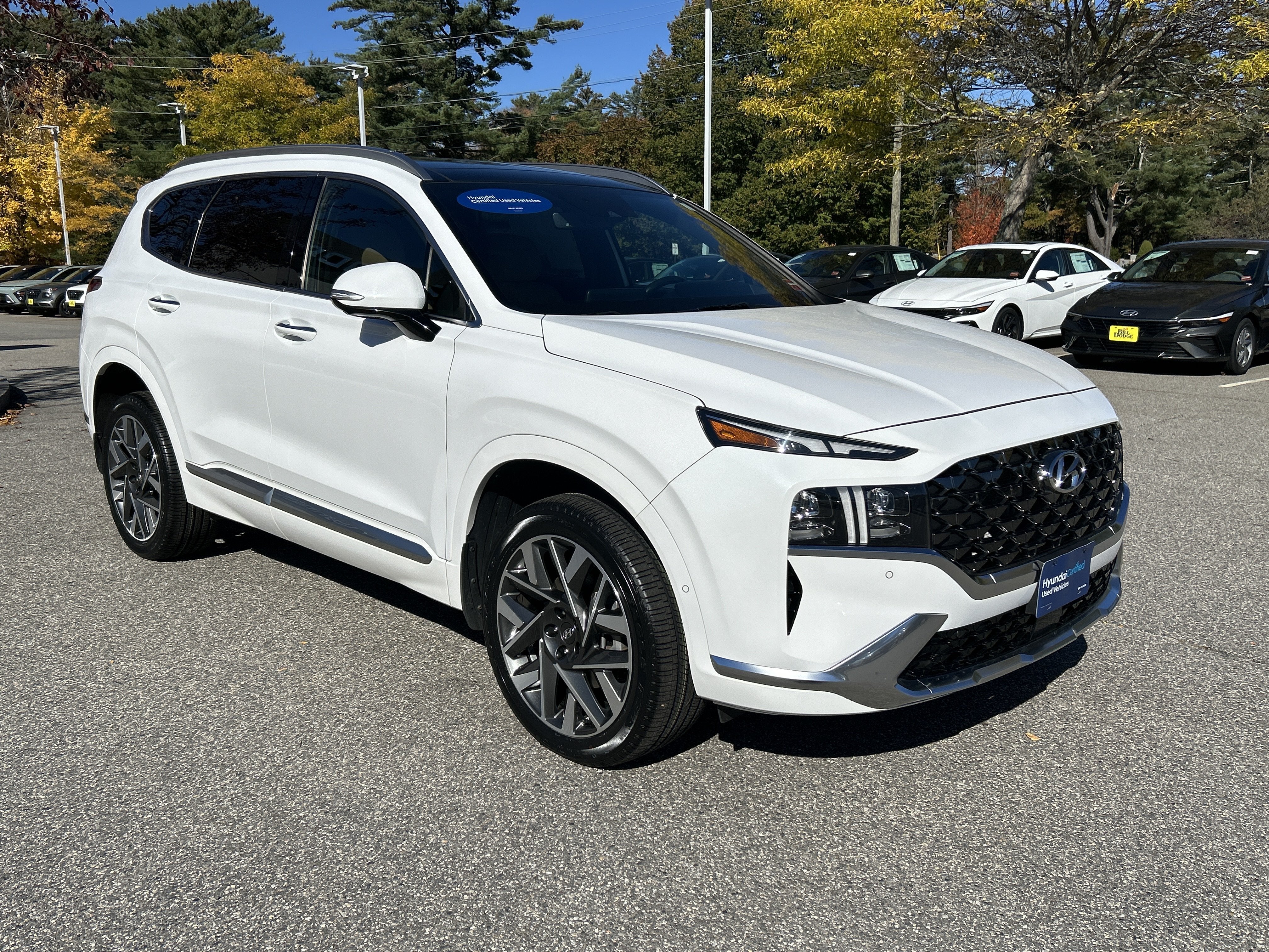 2023 Hyundai Santa Fe Calligraphy