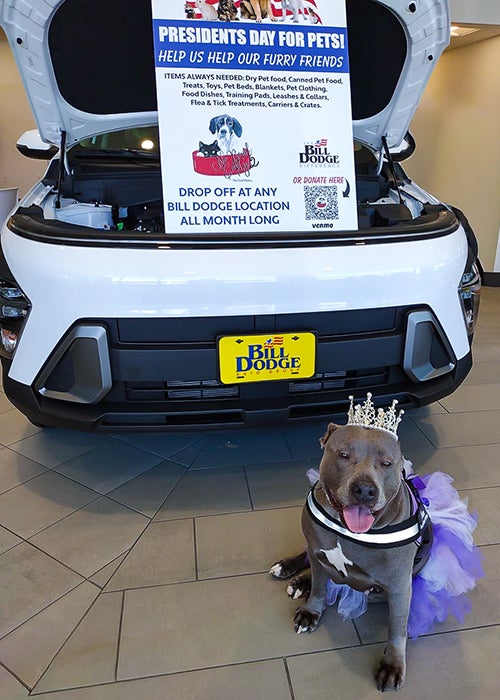 Presidents Day for Pets