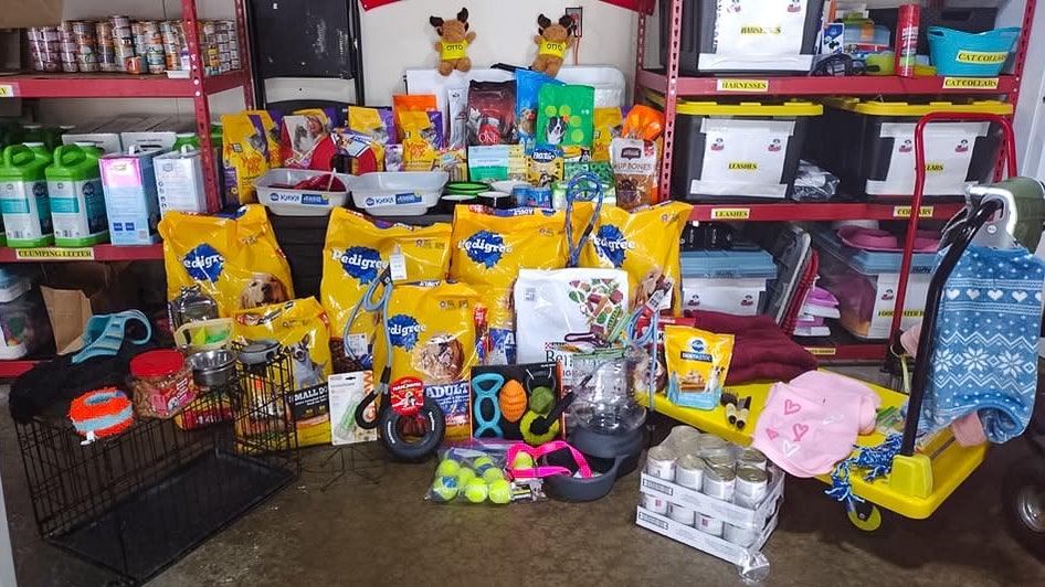 Presidents Day for Pets