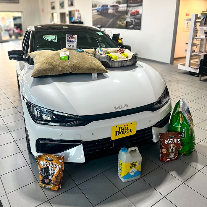 Presidents Day for Pets