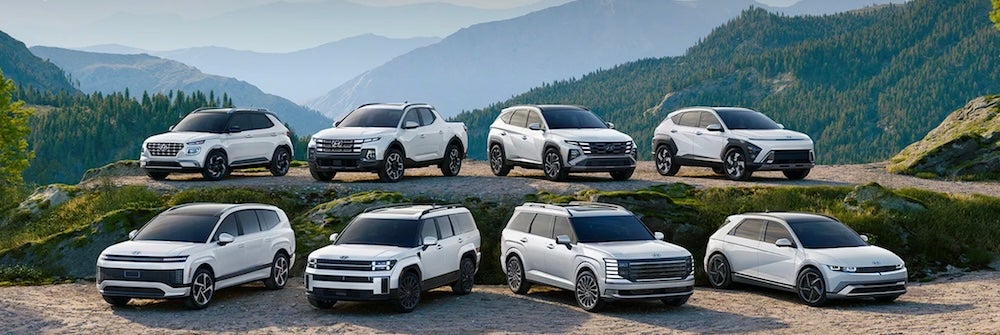 Several white Hyundai vehicles parted in the mountains